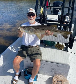 Snook in Cape Coral 2022